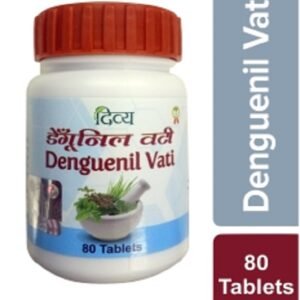 DIVYA DENGUENIL VATI - 80 TABS