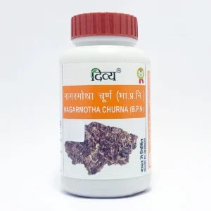 NAGARMOTHA CHURNA 100 GM